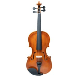 VIOLIN ACADEMICO AILEEN VG001-HPM 1/8 Hasta 4/4. MATE O BRILLANTE
