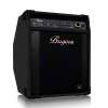 Amplificador BXD15A Buguera para bajo 15″