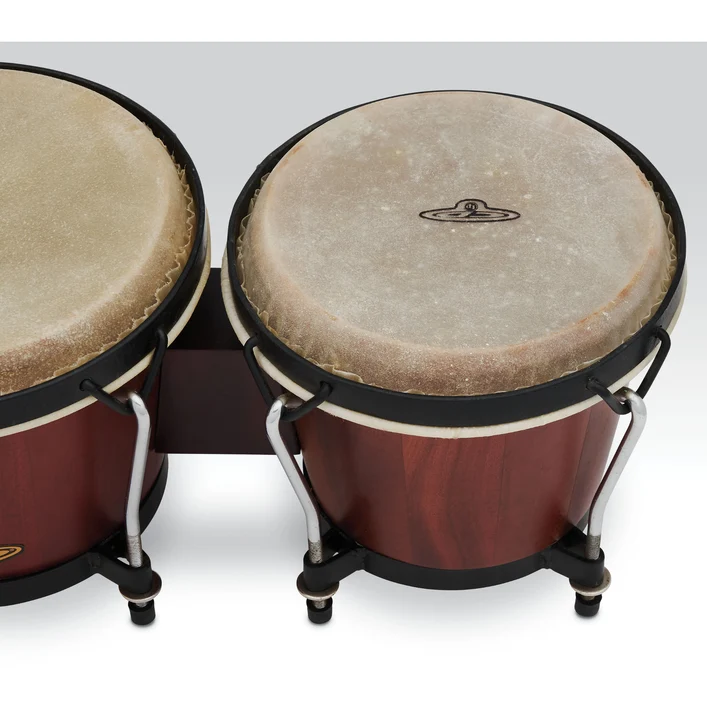 BONGO LP CP221-DW MADERA OSCURA - Imagen 4